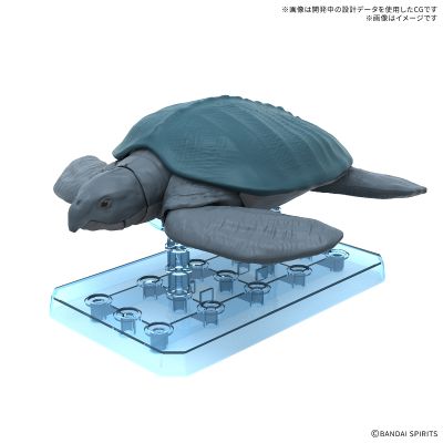 恐龙拼装模型 古巨龟