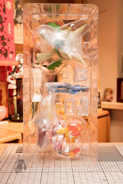 宝可梦比例世界 卡洛斯地区 卡鲁穆+布里卡隆+妖火红狐