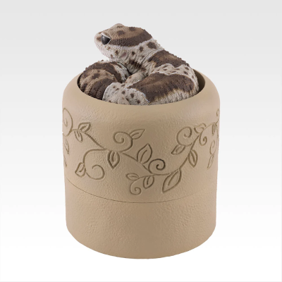 D奖 西非拟蜥蜴守宫与仿洞穴造型收纳盒