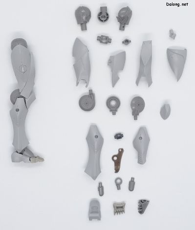 无限邂逅 吉尔科尼亚