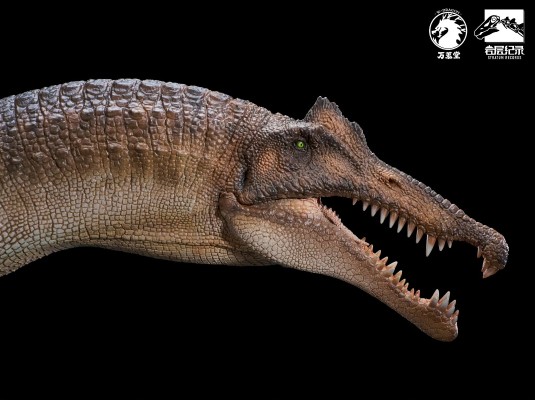 岩层记录系列 1/35埃及棘龙PVC手办