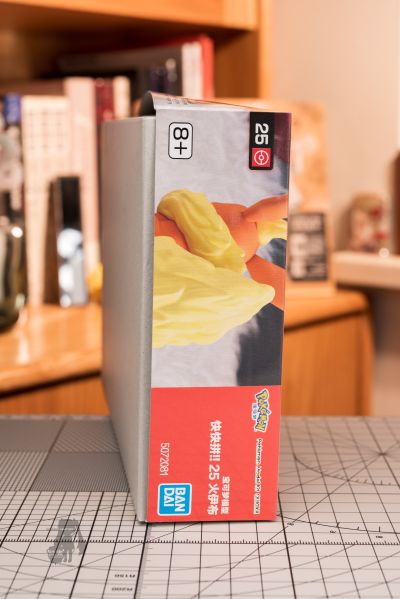 宝可梦拼装模型收藏 快快拼！！25 火伊布