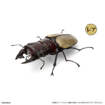 生物大图鉴 锹甲 12 小号树皮底座套装 扭蛋线上版限定