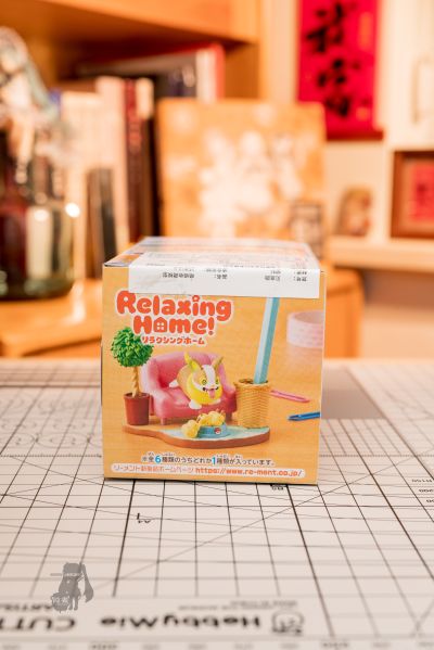 宝可梦 DesQ 休闲之家！