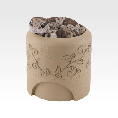 D奖 西非拟蜥蜴守宫与仿洞穴造型收纳盒