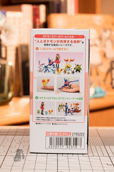 宝可梦比例世界 卡洛斯地区 可尔妮 + 超级路卡利欧