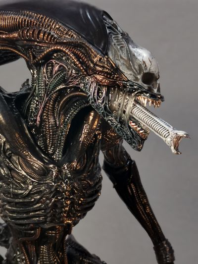 MMS784 《异形：夺命舰》焦灼异形