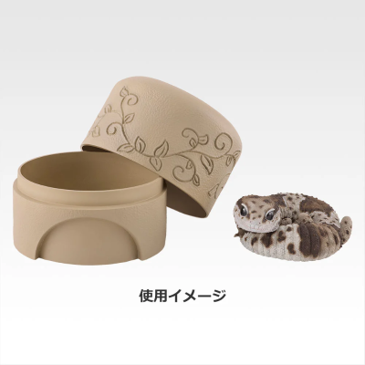 D奖 西非拟蜥蜴守宫与仿洞穴造型收纳盒