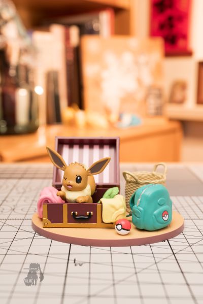 宝可梦 DesQ 休闲之家！