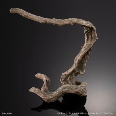 生物大图鉴 高级版 高冠变色龙