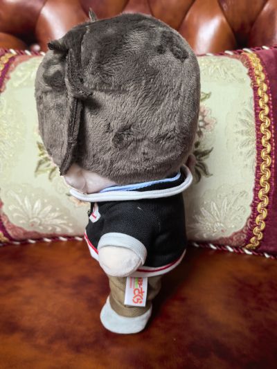 魔卡少女樱 透明牌篇 木之本桃矢