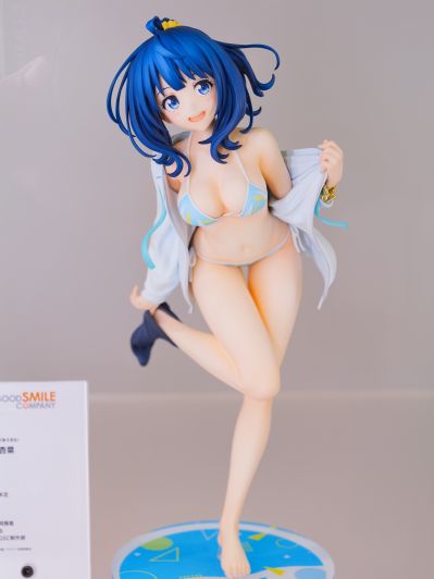 败犬女主太多了!  八奈见杏菜 泳装