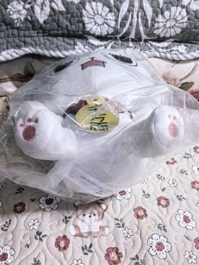 胆大党 BIG毛绒玩偶 高速婆婆（招财猫）B款