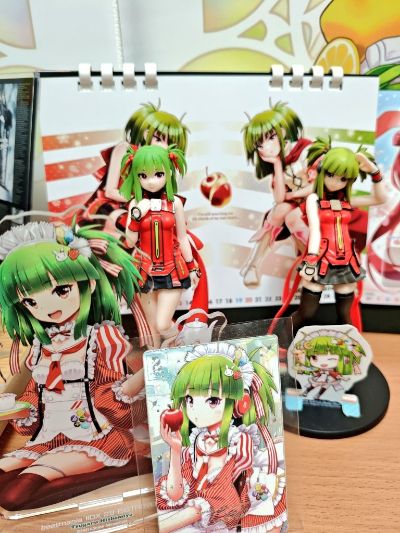 景品收藏 狂热节拍IIDX 夏天