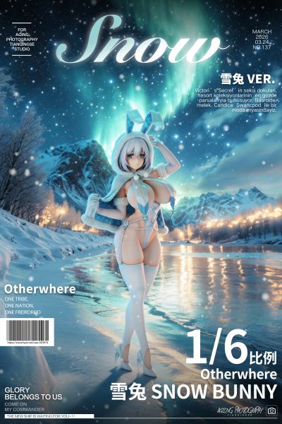 雪兔 春节