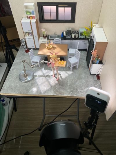 「兔子快速反应小队」——盾牌手 • 爱莲娜ERENA 异色版