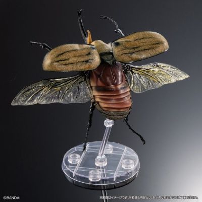 扭蛋 生物大图鉴Advance 独角仙０４ 展示支架&树皮台座（中）套装