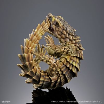 进化生物大图鉴 精选版 02