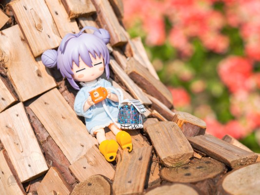 生物大图鉴 独角仙09