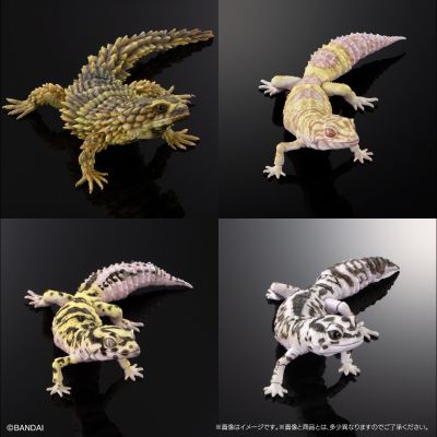 进化生物大图鉴 精选版 02