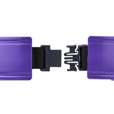 DX变身腰带 布拉姆传动器 高规格腰带