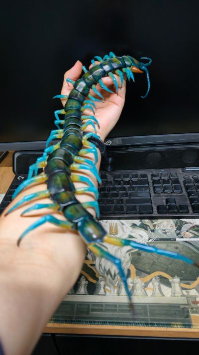 终极生物大图鉴系列 琉神大蜈蚣