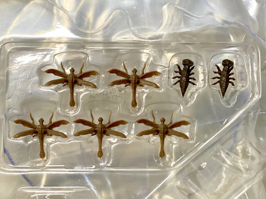 S.H.MonsterArts 超翔龙美加奇拉斯 进化套装