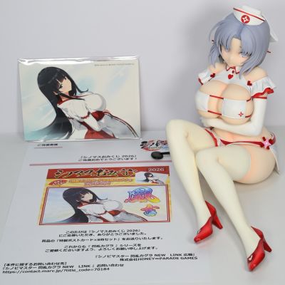 忍者大师 闪乱神乐 NEW LINK 雪泉 性感护士