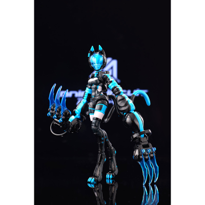 AnimaCircuit 索拉猫猫 SP