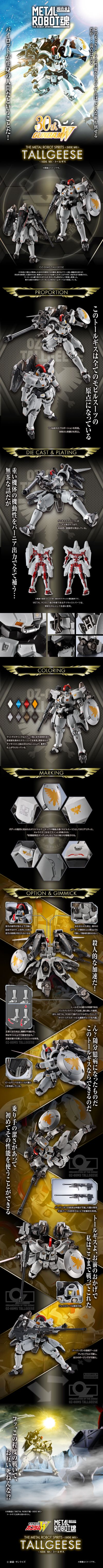 METAL ROBOT魂 ＜SIDE MS＞ 托鲁基斯