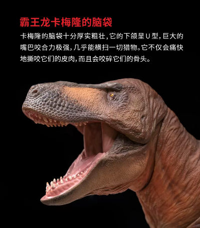 可动玩具系列01霸王龙卡梅隆