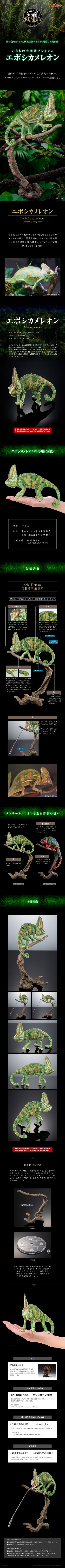 生物大图鉴 高级版 高冠变色龙