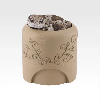 D奖 西非拟蜥蜴守宫与仿洞穴造型收纳盒