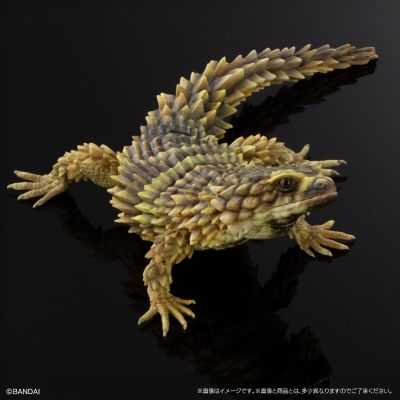 进化生物大图鉴 精选版 02