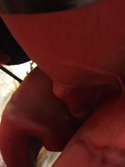 猛将传-蜀篇-五虎上将  关羽 关云长