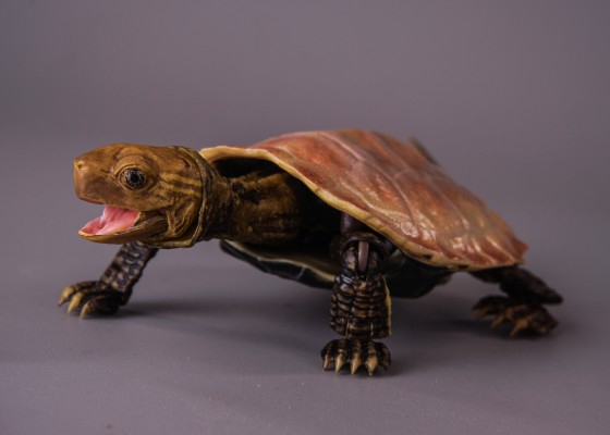进化生物大图鉴 龟02 附带磁铁的石头形展示架套装