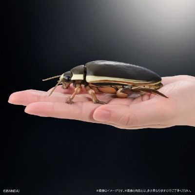 扭蛋 生物大图鉴Advance 水生昆虫02