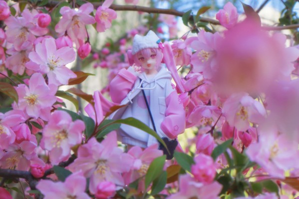 TENITOLpetit 樱花未来 酷风格