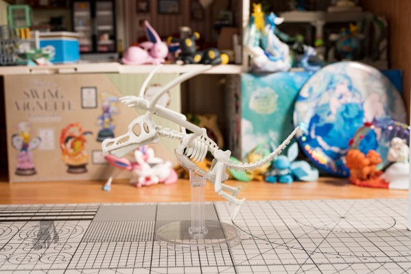 宝可梦拼装模型收藏 化石宝可梦系列 化石翼龙