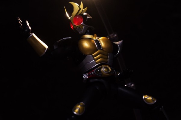 S.H.Figuarts（真骨雕制法） 假面骑士亚极陀 大地形态 25周年纪念版