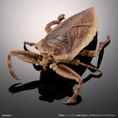 扭蛋 生物大图鉴Advance 水生昆虫02