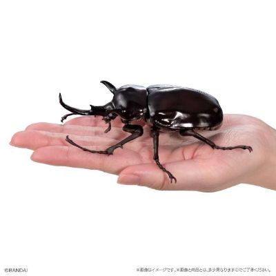 扭蛋 生物大图鉴 独角仙１1 树皮台座（小）套装