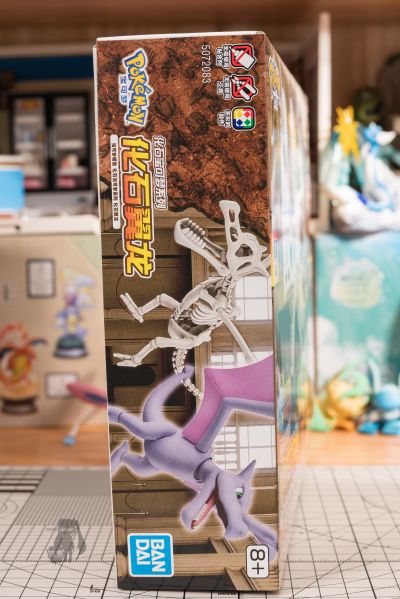 宝可梦拼装模型收藏 化石宝可梦系列 化石翼龙