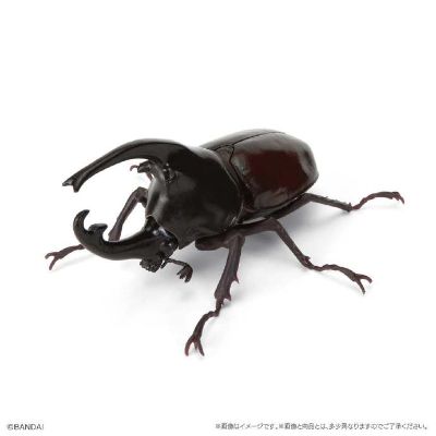 扭蛋 生物大图鉴 独角仙１1 树皮台座（小）套装