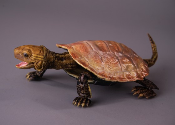 进化生物大图鉴 龟02 附带磁铁的石头形展示架套装