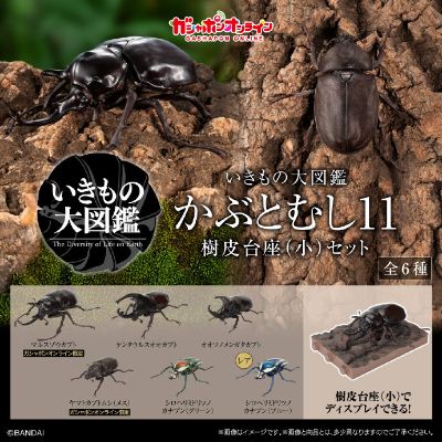 扭蛋 生物大图鉴 独角仙１1 树皮台座（小）套装