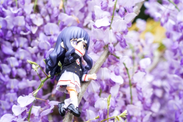 粘土人#2770 魔卡少女樱 透明牌篇 大道寺知世 友枝中学校服