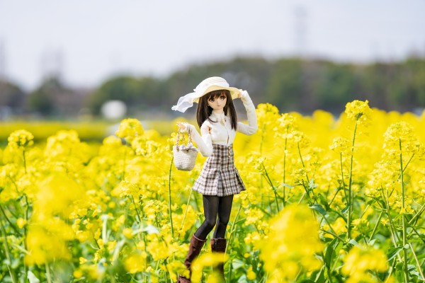 Dollfie Dream DD 白色相簿 森川由绮