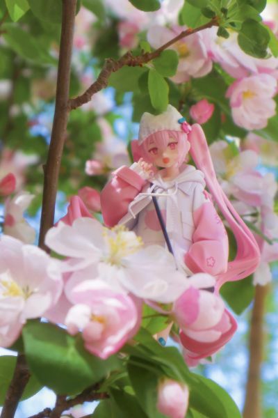 TENITOLpetit 樱花未来 酷风格