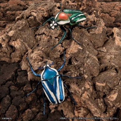 扭蛋 生物大图鉴 独角仙１1 树皮台座（小）套装